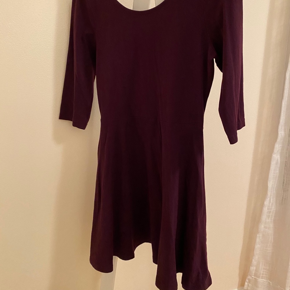Express plum colored skater dress